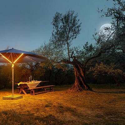 fortello_led_glatz- sprokkelbos fortello_led_glatz