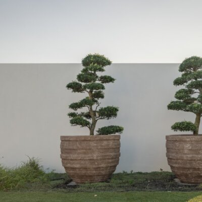 tuinmuur